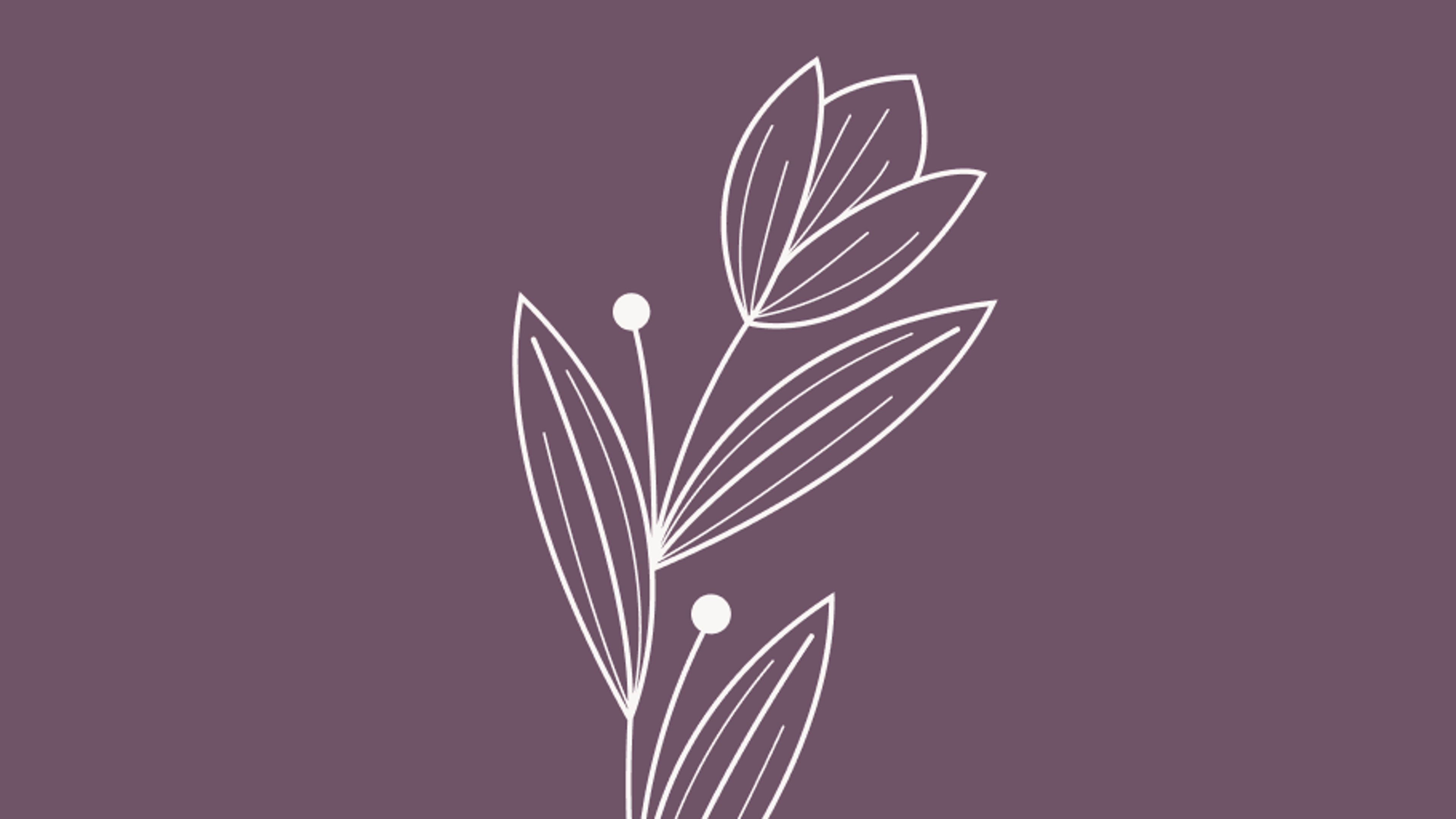 Lynden Yoga Collective 200 Hour Yoga Teacher Training